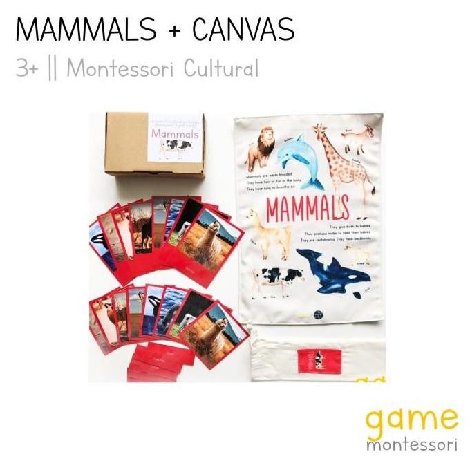 Montessori Animal Classification Mammals, Fish, Insects