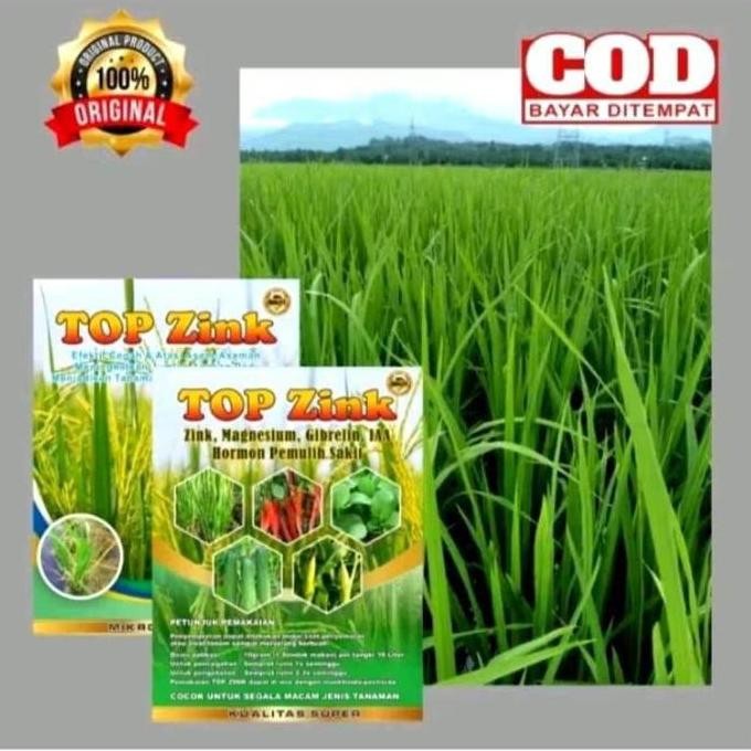 100%ORI Pupuk TOP ZINK 150gram Manfaat Untuk Perbanyak Anakan Padi & Mengobati Asem Aseman | Obat se