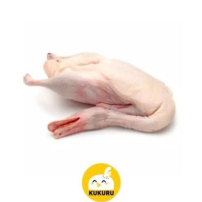 

BEBEK HIBRIDA UTUH / HYBRID DUCK (PERSILANGAN BEBEK LOKAL DAN PEKING)