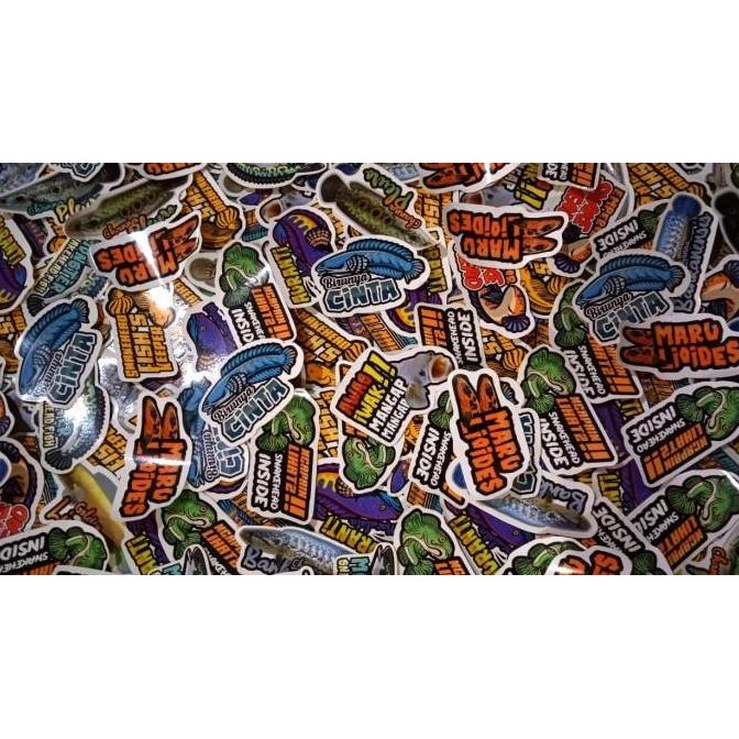Stiker Setiker Untuk Aquarium Channa Snakehead (Terlengkap) Vol. 2