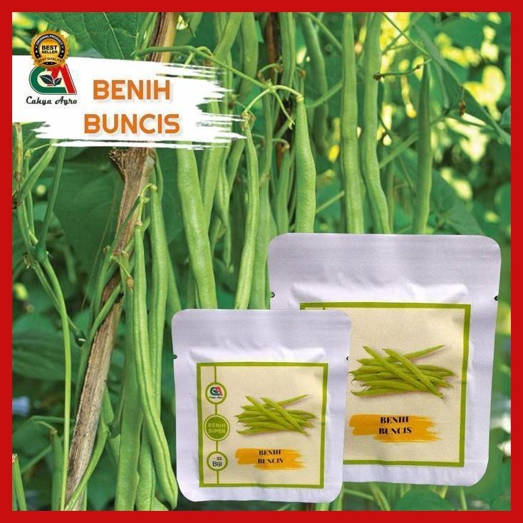 

(Best Saller) 25 Biji Benih Sayur Buncis Claudio Bestseller