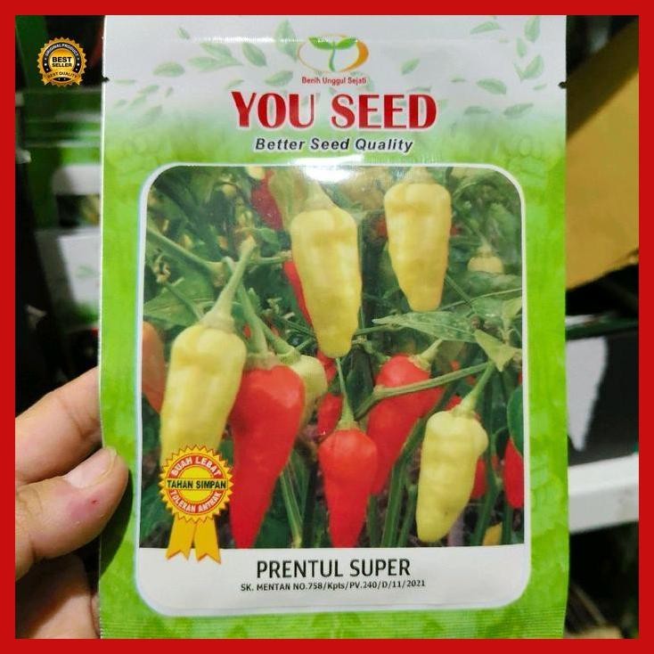 (Ready) Benih Cabe Rawit Prentul Super 10 Gram Dari You Seed Cabe Prentul Super Bestseller