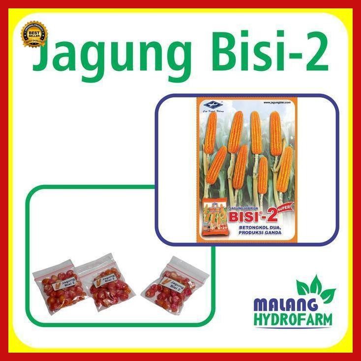 (Terbaru) Benih Jagung Bisi-2 Unggulan Berkualitas Biji Bibit Repack Cap Kapal Terbang Isi 2 Hydropo