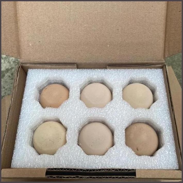 

FRESHH TELUR TETAS AYAM SENGKUNI SPESIAL TRAH PUTIH (HARGA/BUTIR) MINIMAL PEMBELIAN 6 BUTIR TERBARU