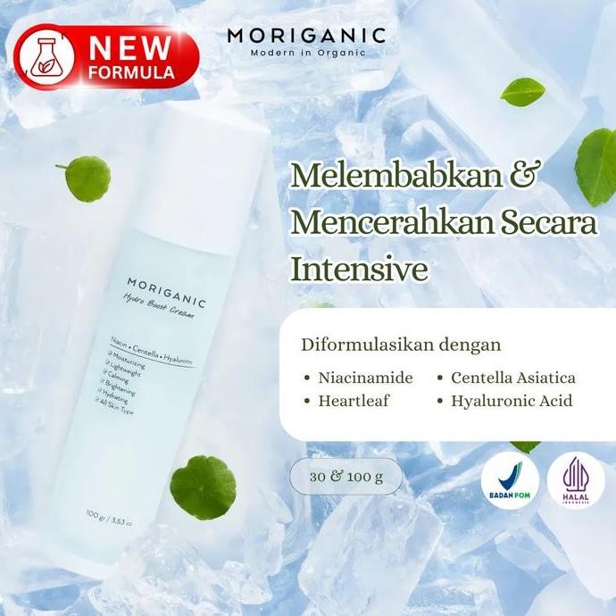 MORIGANIC Hydro Boost Cream Moisturizer - Niacinamide, Centela Asiatica, and Hyaluronic Acid - Pelem