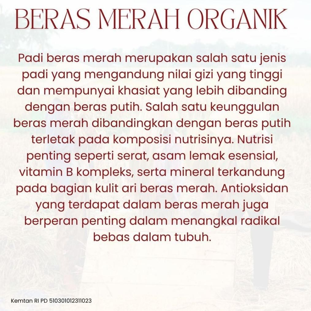 

Beras Merah Organik Bersertifikat ( Organic Red Rice ) 2Kg Bundling Promo Bebas Gula Beras Diet