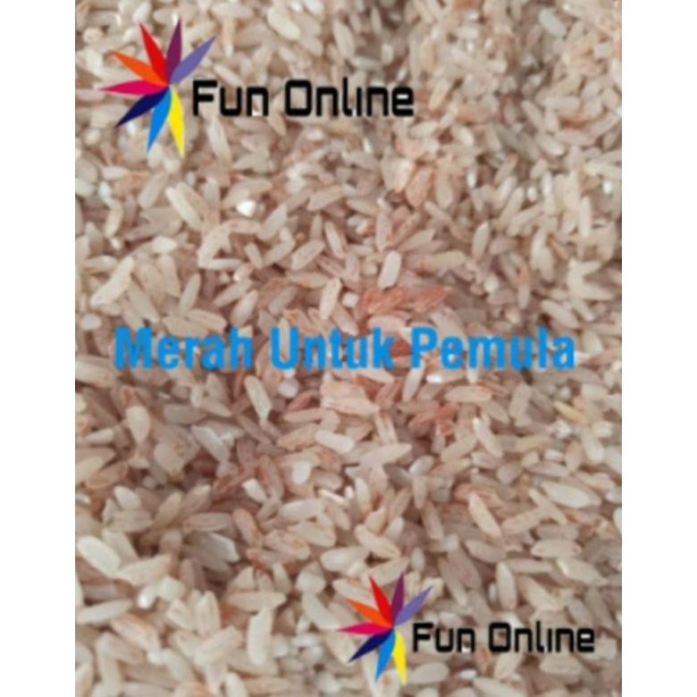 

Beras Merah Sosoh Kemasan 5 Kg Mp