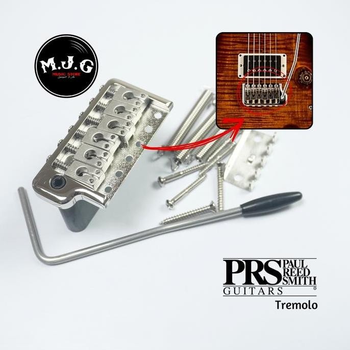 tremolo synchronized gitar elektrik PRS SE set