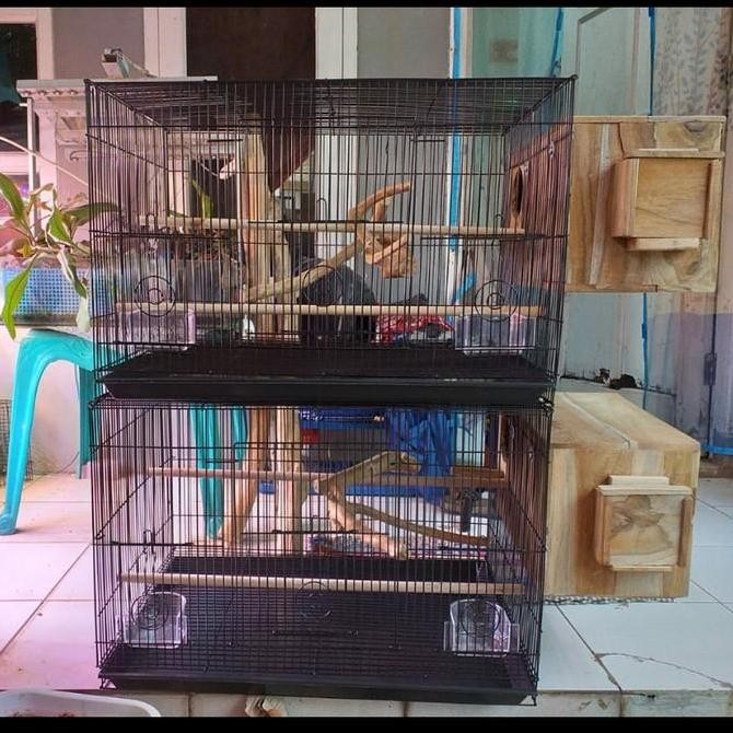 KANDANG SANGKAR TERNAK BREEDING BESI UNTUK LOVEBIRD FULLSET LARGE