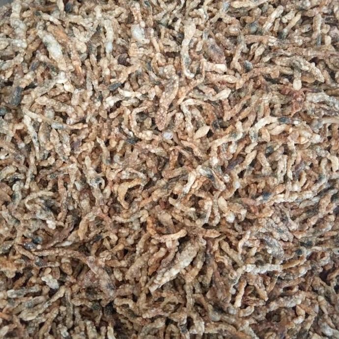 (Good) LORJUK GORENG SUPER (grinting lorjuk)