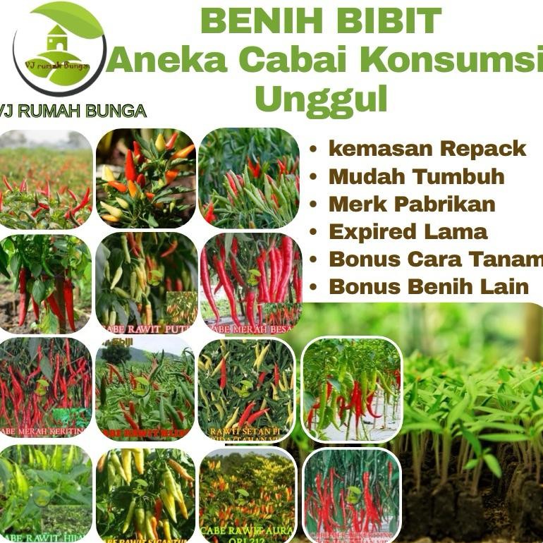 Promo Cod Benih Cabe Benih Bibit Cabai Rawit Konsumsi Benih Cabe Merah Besar Keriting Rawit Hijau ..