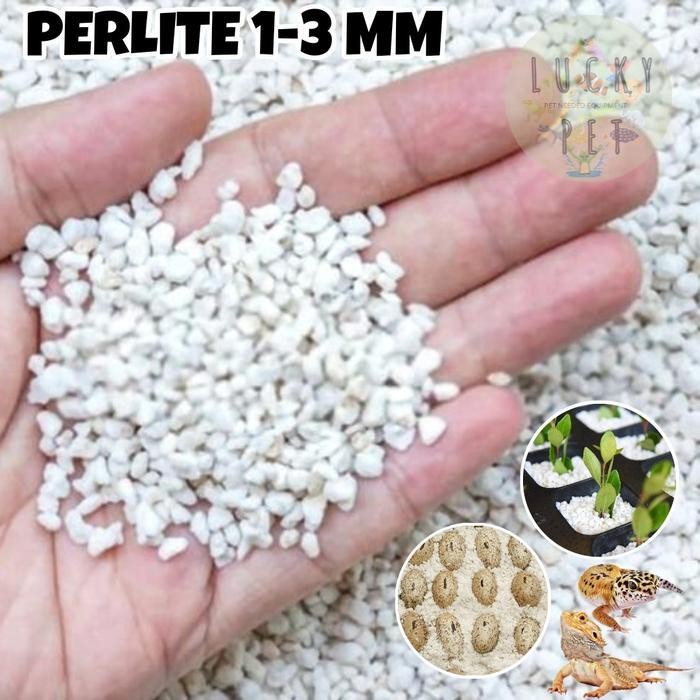 TERLARIS PERLITE media tanam tanaman alas media penetasan telur reptil gecko