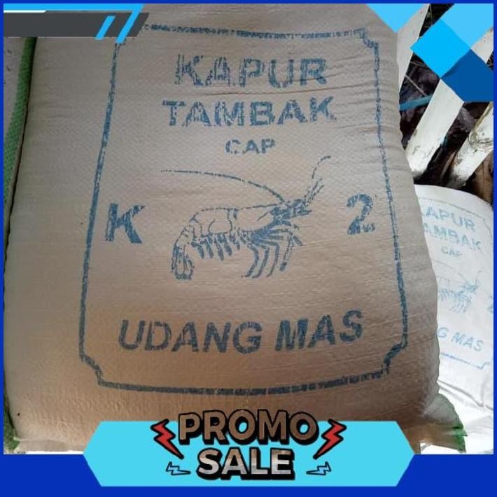 HANYA HARI INI kapur dolomit alas reptil/kapur tambak untuk ikan&udang murah