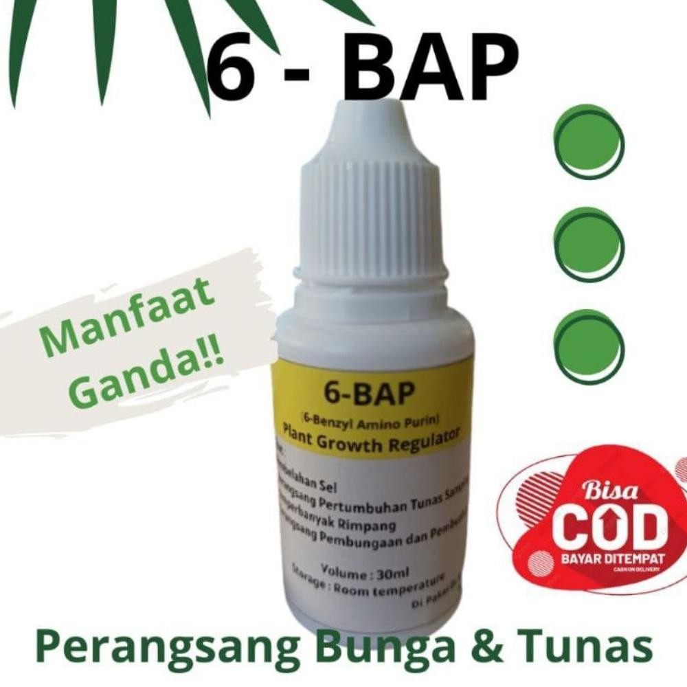 Promo Cod Super Murah!!! Hormon 6-Bap Perangsang Tunas Anggrek ...