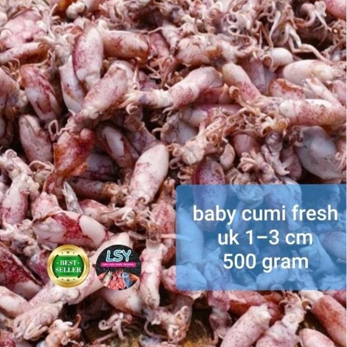 

New ikan asin baby cumi / cumi asin / cumi rebus 78 berat 500gram