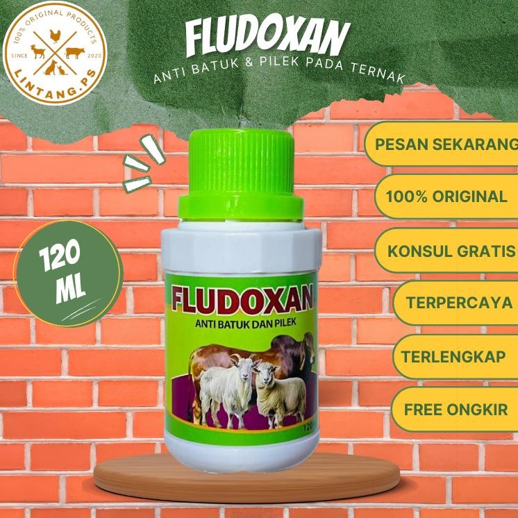 Obat Batuk Kambing Obat Batuk Sapi Obat Batuk Domba Fludoxan 120 Ml