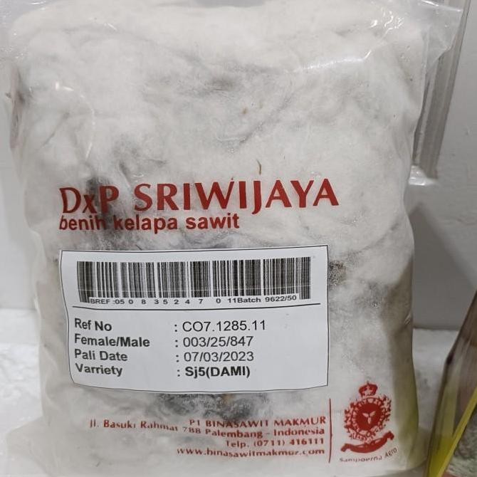 Bibit Benih Tanaman Sriwijaya 5 Sj5 Terbatas