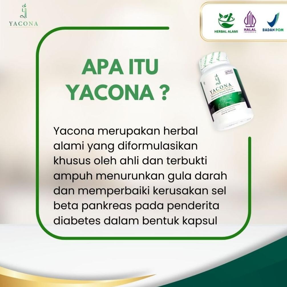 Obat Diabetes Yacona Kapsul Diabetes Menstabilkan Gula Darah Isi 60 Kapsul