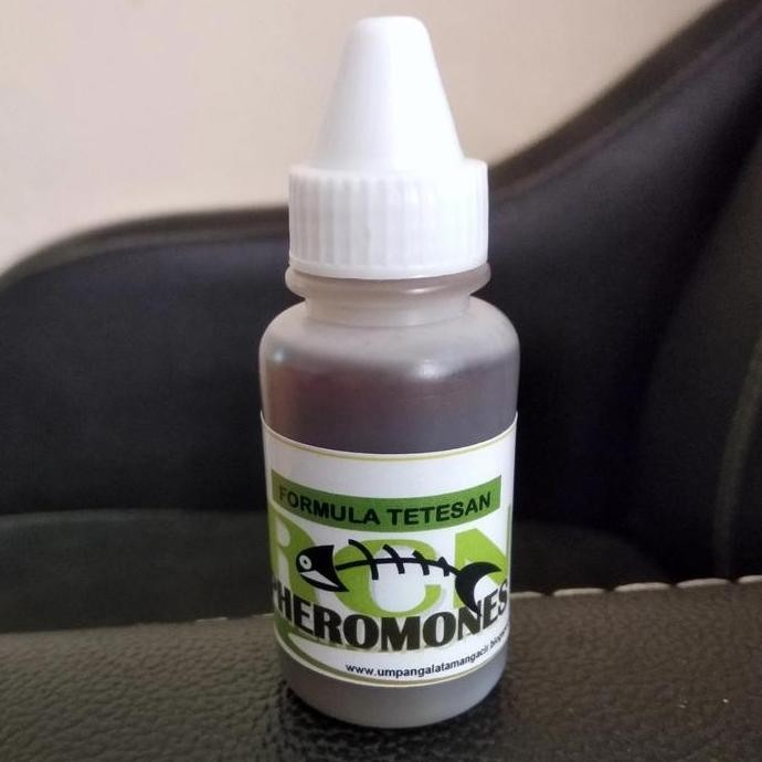 Promo PHEROMONES (RCN) SINGEK COD