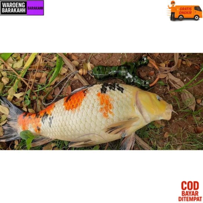 Exclusive Frame Ketapel Roller Bahan Abs Terbaru