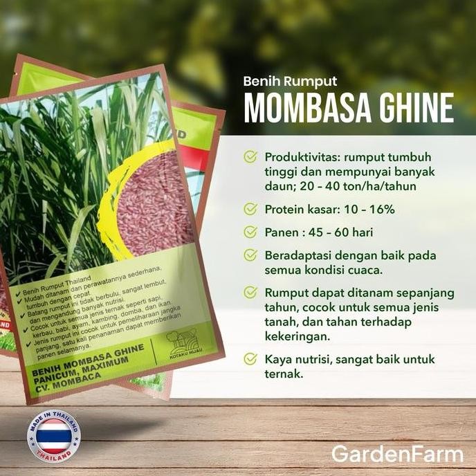 Promo GARDENFARM - BENIH RUMPUT UNGGUL SUPER MOMBACA/MOMBACA GHINE - BIBIT RUMPUT SUPER MOMBACA - BI