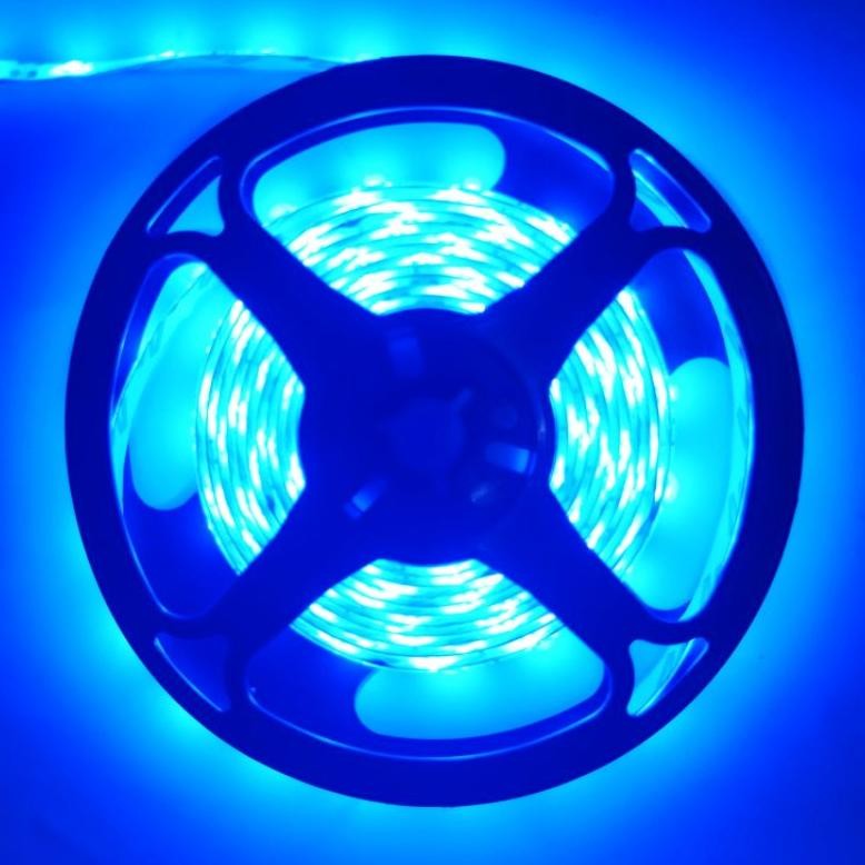 Bf888S Lampu Led Strip | Led Strip 3528 Ip44 Waterproof 12V | Lampu Plafon | Lampu Etalase Meteran R