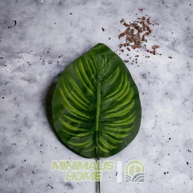 Daun Peperomia Motif Semangka Artificial Daun Talas Hias Plastik Hiasan