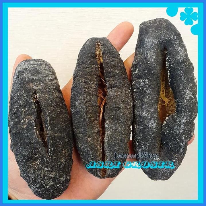 HAISOM TUBOSOM HITAM KERING 500G - 1KG SUPER TEBAL TERIPANG GAJAH SUSU TERMURAH