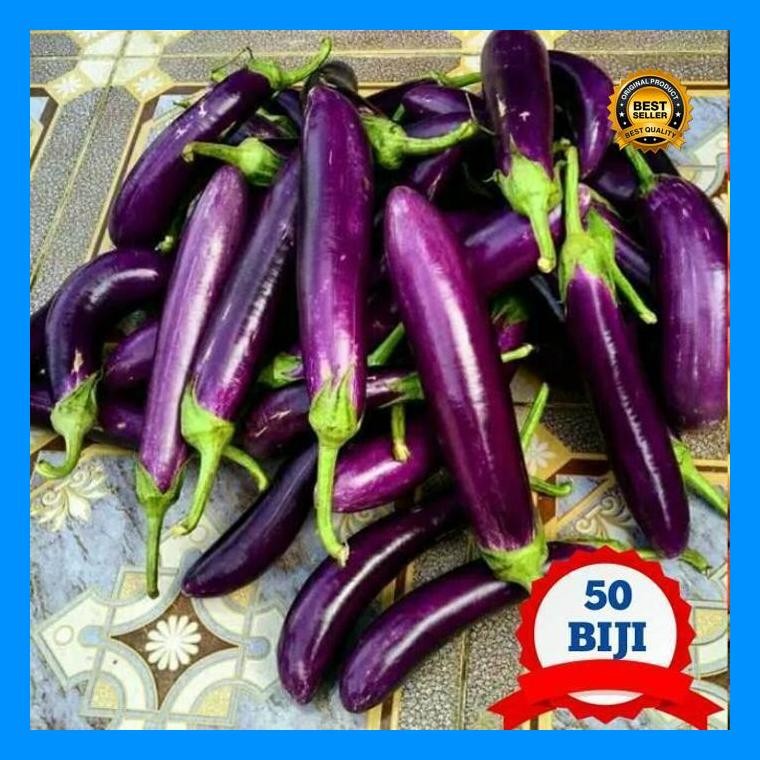 [Cod] - 50 Biji - Benih Terong Ungu Lezata F1 - Unggul Cap Panah Merah Bibit Sayur Sayuran Antaboga 