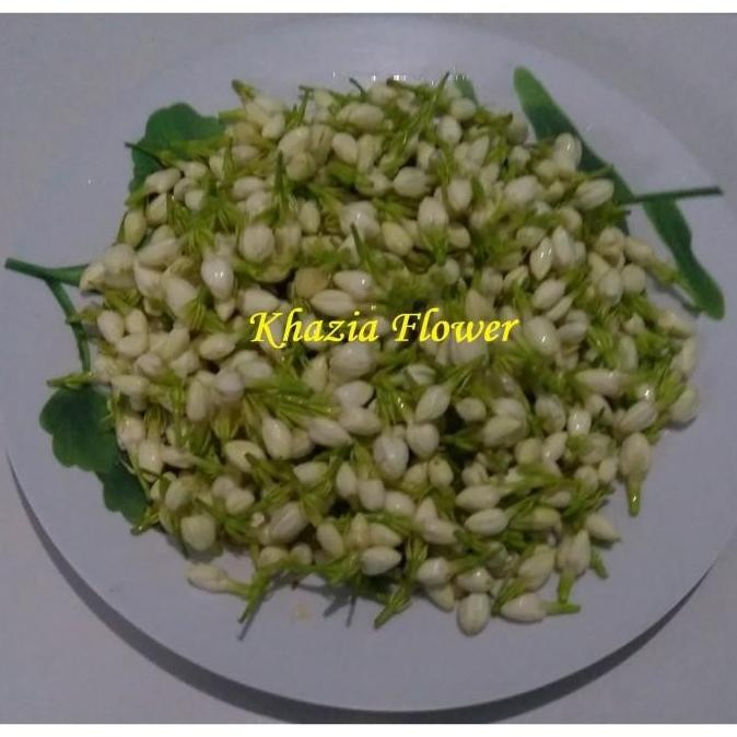 Bunga Melati Asli 250g Bunga Pewangi Ruangan Siraman Penganten