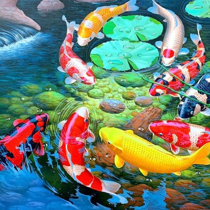 Lukisan Ikan Koi Berkualitas + bingkai