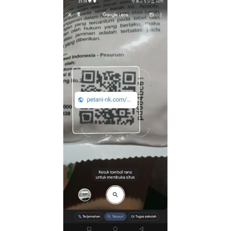 Promo Cod Benih Jagung Nk Perkasa 6172  #Bibit Jagung #Benih Perkasa #Jagung Perkasa#Nk Perkasa 6172