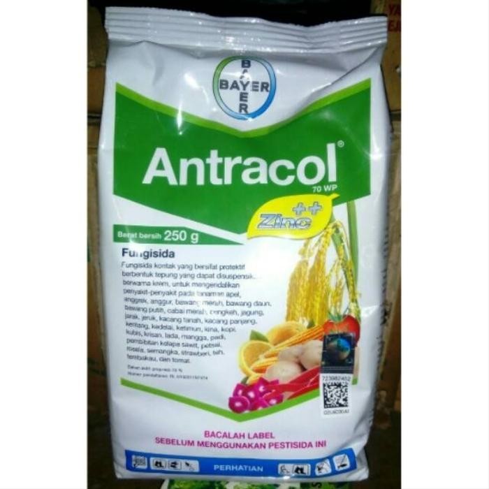 fungisida, Cairan anti jamur tanaman, antracol 70 WP