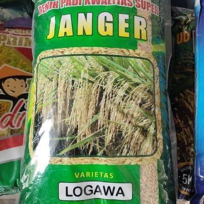 benih padi logawa janger