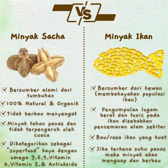 Minyak Sacha Inchi Sachi Oil Super Food 100% 250 Ml Tinggi Omega 3 6 9