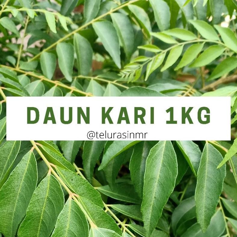DAUN KARI 1KG SALAM KOJA TELUR ASIN MR
