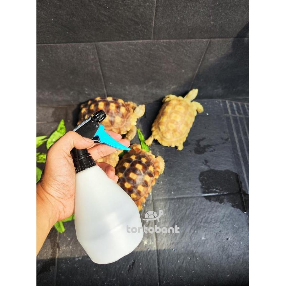 Promo Sprayer Botol Spray 500 Ml Nomoy Nff 76 - Spray Tanaman - Spray Pohon - Spray Tumbuhan - Spray