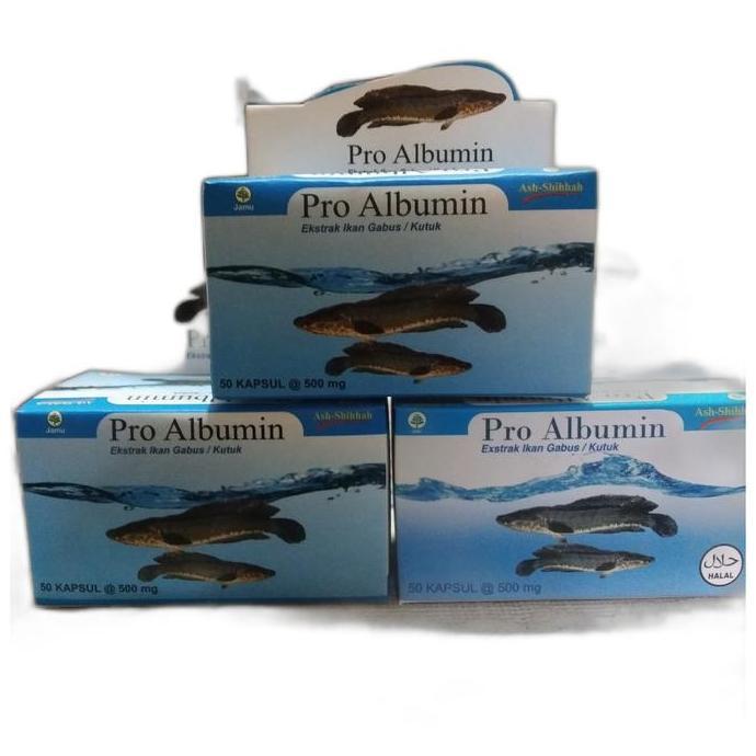 PRO ALBUMIN /VITAMIN IKAN GABUS