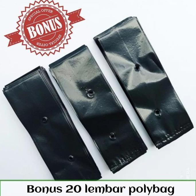Promo Bibit Sayuran Benih Paket Lengkap - Bibit Biji Sayuran Cod