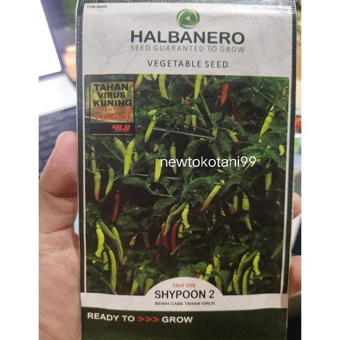 ( 10 gram ) Benih cabe SHYPOON 2 10gram benih cabe shypoon tahan virus 10 gram sipon 2 dari Halbaner