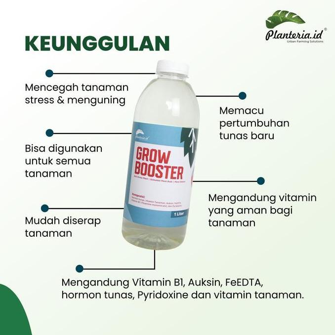 Yard- Pupuk Organik Vitamin B1 Aglonema Paket Adelia Tanaman