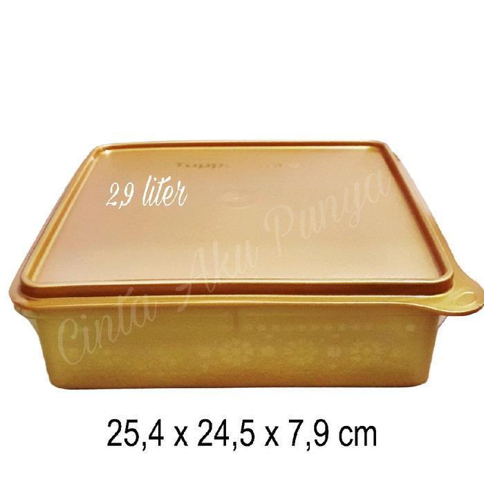 BONUS - Tupperware. Donat / Large Snack Stor Tempat Kue Basah 32,8 x 22 x 6,8 cm Warna Ungu Ideal un