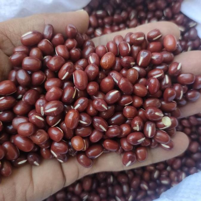Kriuk- Kacang Merah Import / Kacang Merah Azuki - 1Kg