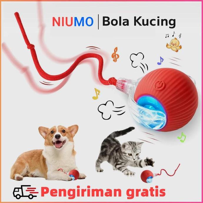 Dayanaputrisembilan - Mainan interaktif elektrik anak kucing dengan bola bergulir otomatis, meniru m