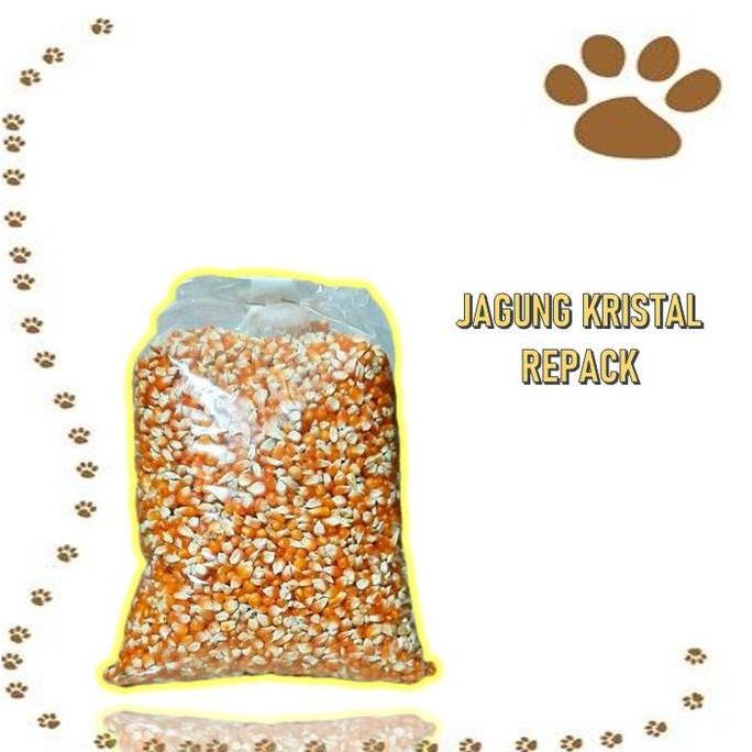JAGUNG KRISTAL MAKANAN BURUNG MERPATI, DARA, PERKUTUT 2KG