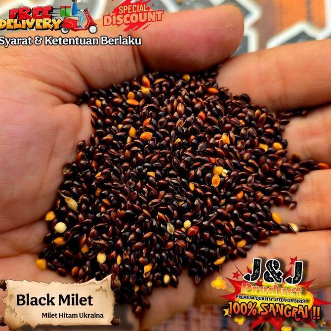 [] Milet Premium bijian sangrai milet putih milet cream milet hitam