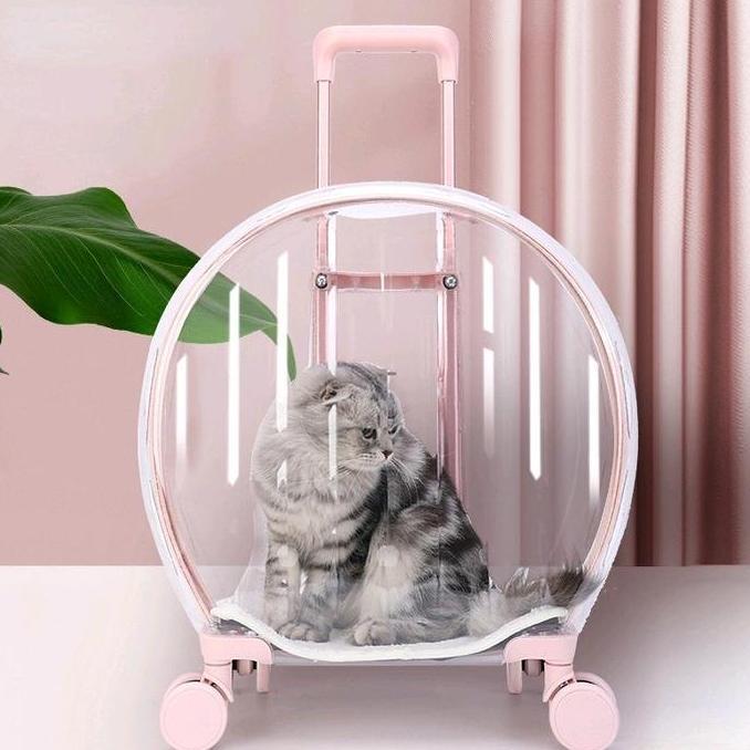 Tas Troli Transparan | Pet Cargo | Tas Anjing Kucing CSS