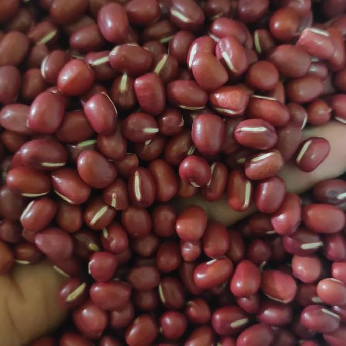 Asci- Kacang Merah Import / Kacang Merah Azuki - 1Kg
