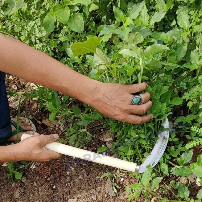 Gardener- Sabit Arit Baja Buatan / Pisau Arit Sabit Lengkung Import
