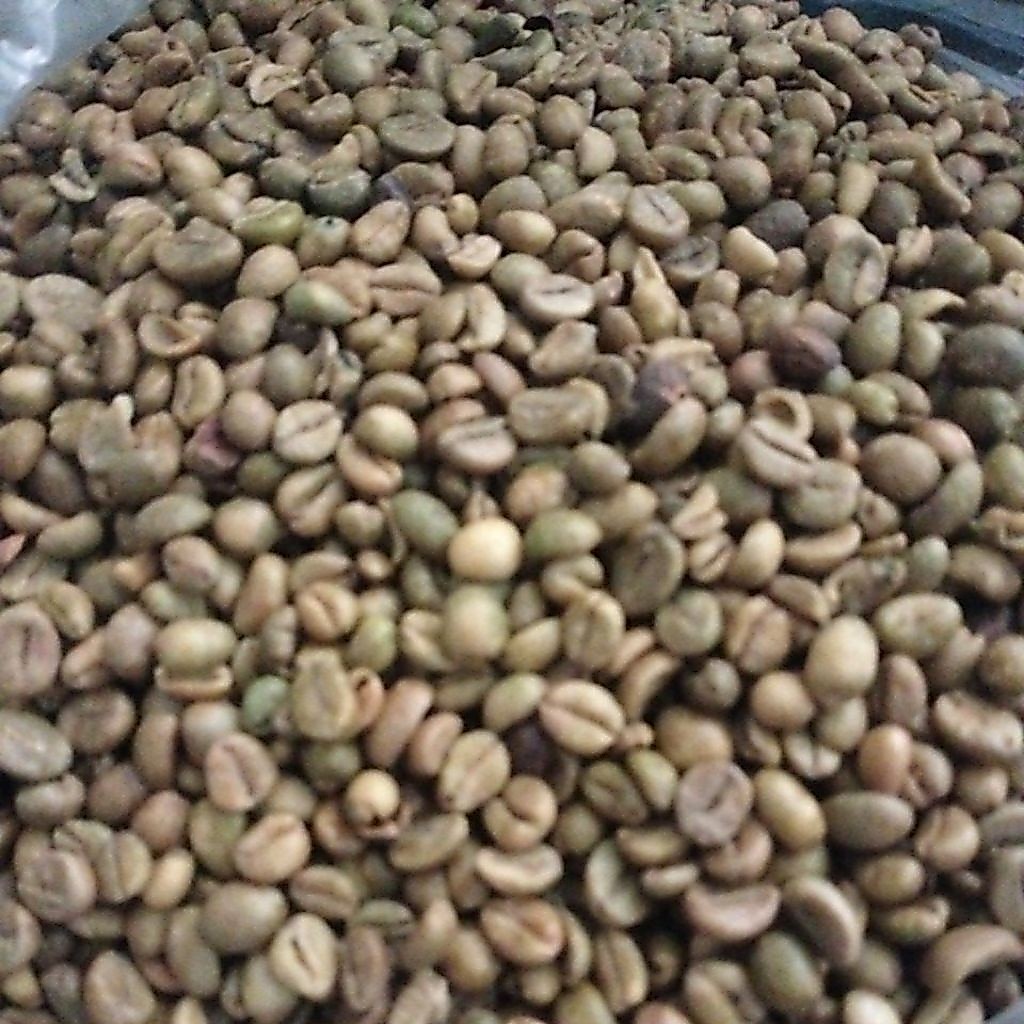 kopi selsah asli blitar